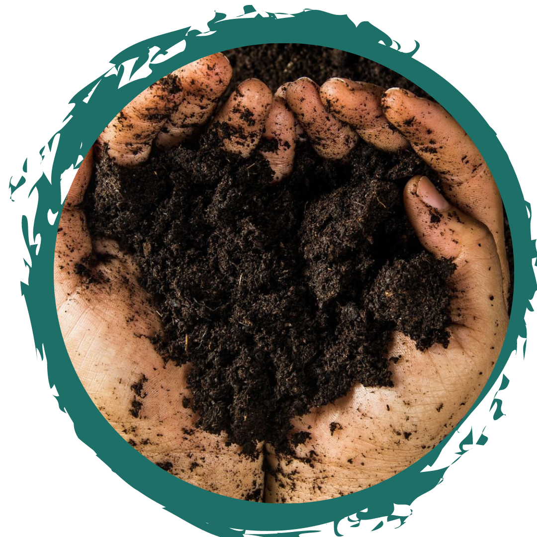 Soil Health, Bonar Bridge