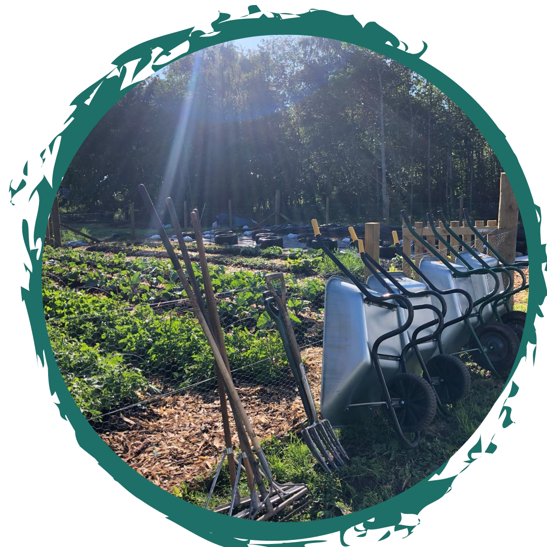 Connecting Inverness’ food growing communities