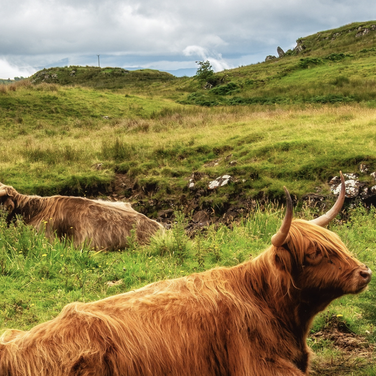 What impact do Food Partnerships actually have?